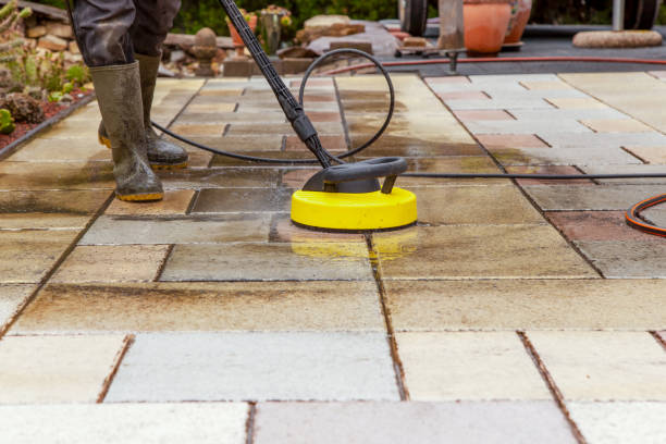 Best Animal Enclosure Cleaning  in Olga, FL