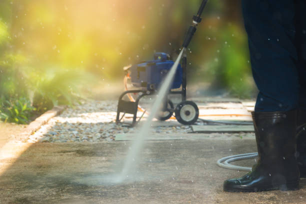 Best Solar Panel Cleaning  in Olga, FL